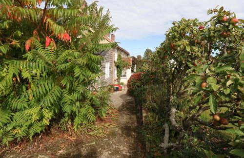 Little Orchard - Photo 40