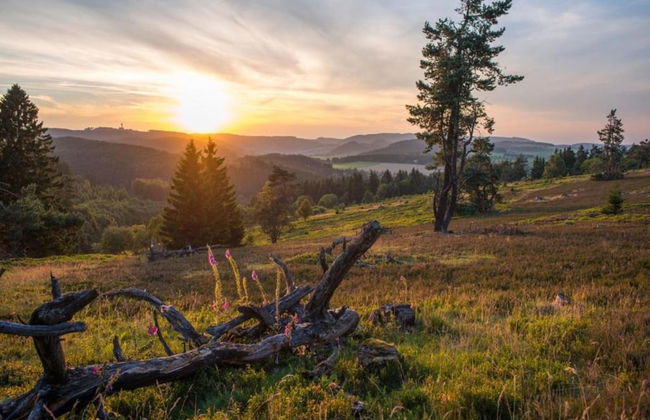 Wohnung in Usseln Nahe Skiliften - Photo 19