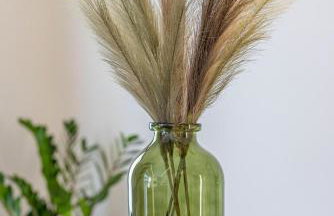 Mont Fleury Resort - Foto 10