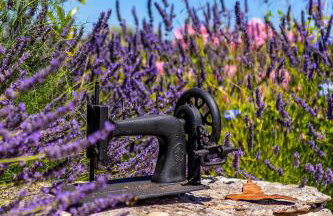 Magical Island Home - Photo 10