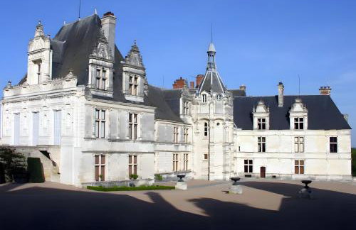 La Maison Bleue - Foto 14