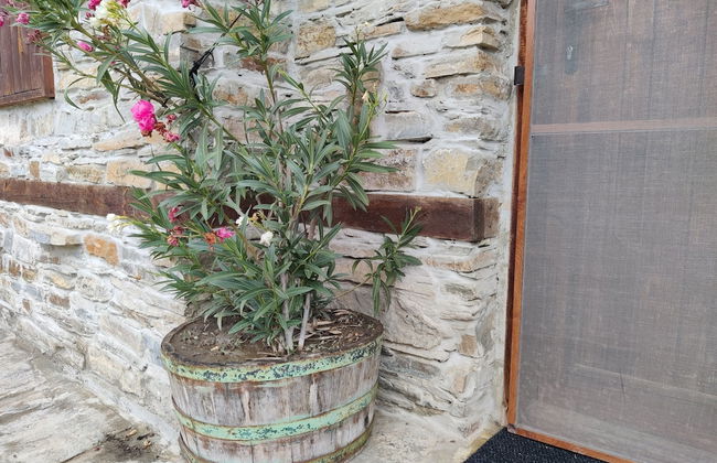 Lovely 4-bed House in Kosti - Foto 24