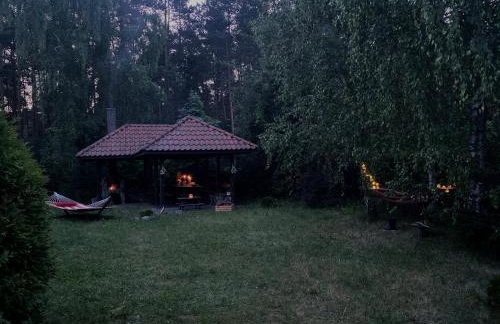 Szeroki Bór oaza w Puszczy z Sauną, Banią i Jacuzzi - Foto 40