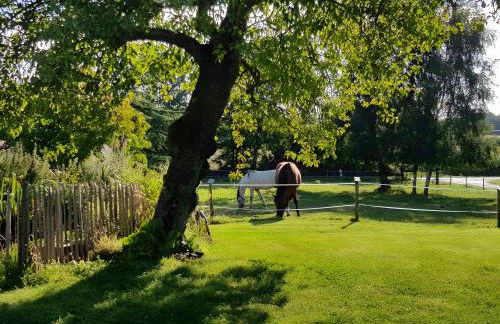 Au Bonheur de la Baie - Four à Pain - Foto 11
