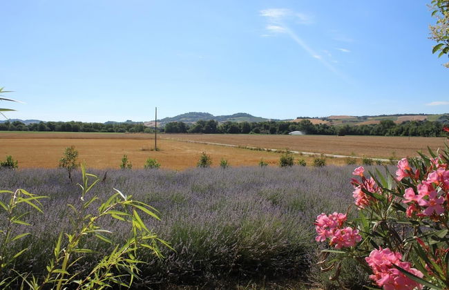 Agriturismo Bassarì - Photo 39