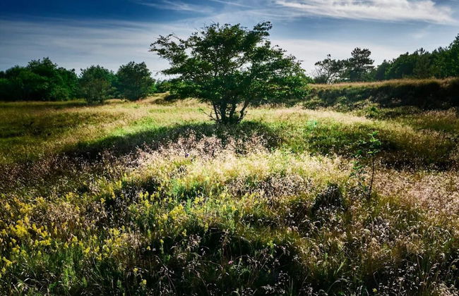 6 Person Holiday Home in Hals - Foto 21