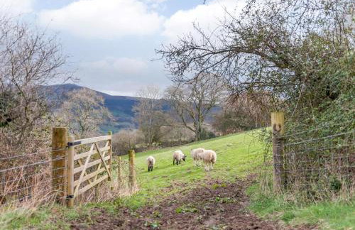 2 Bed in Crickhowell oc-42920 - Foto 28