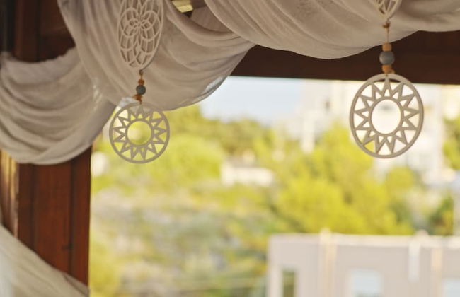 Water Lily - Foto 44