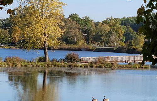 Large 1 BR Cottage, KING BED on the Lake - Foto 32