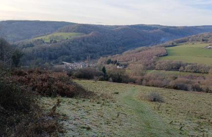 Walker's Rest - Photo 13