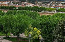 Comfort Tua - Foto 58