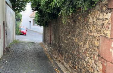 Rheinblick-Oase Oppenheim - Foto 46