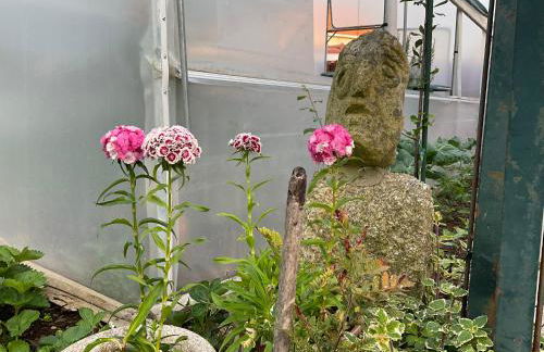 CRALS - Casa da Guilheta - Foto 37