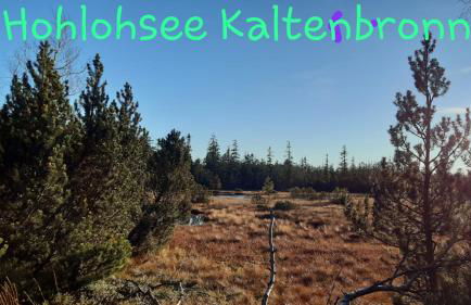 Apartement am Waldrand - Foto 14