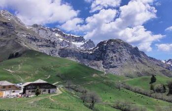 C le birdie - Foto 41