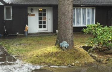 Glacier Guest Room - PRIVATE ROOM IN SHARED HOUSE REDUCED PRICE ON TOURS - Foto 7