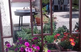 Villetta Il Pino - Foto 13