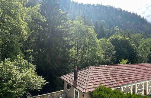 Au Temps Passé - Photo 49