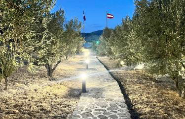 Hotel Defkalion - Photo 45