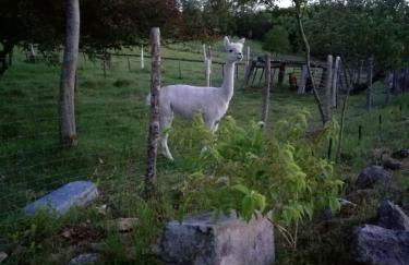 joli gîte plain pied - Foto 24