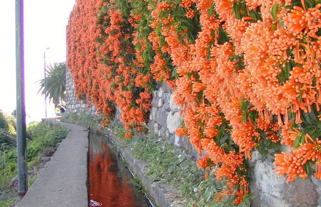 Vila Marta - Foto 20