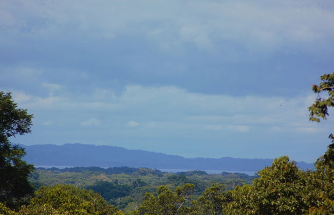 Corcovado Private Villas - Foto 41