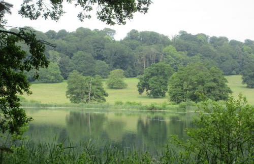 Willow Cottage - Foto 31