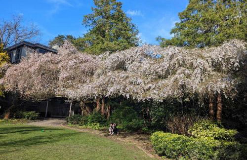 Walker's Paradise 1 with 2 free parking lots - Foto 34