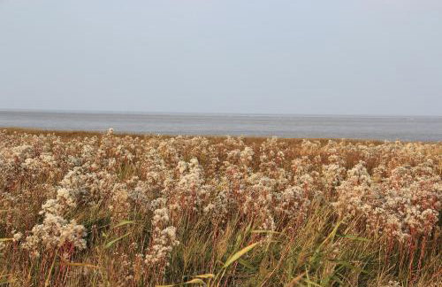 Annemaries Nordseehaus - Foto 48
