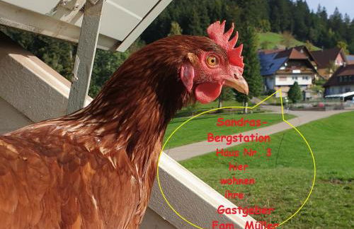 Sandras Bergstation - Photo 9