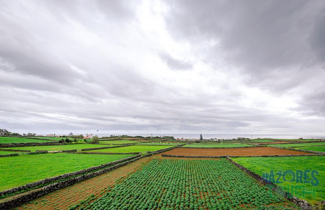 Casa dos Cal os in S o Mateus da Calheta - Photo 34