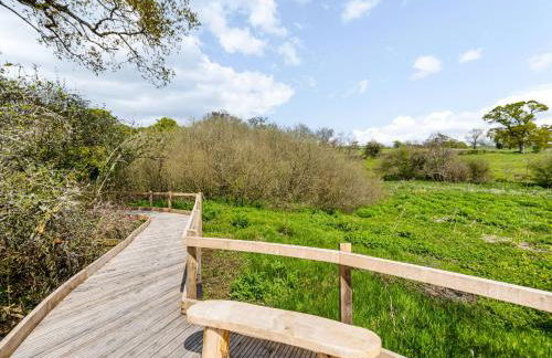 Kittwhistle - Photo 24