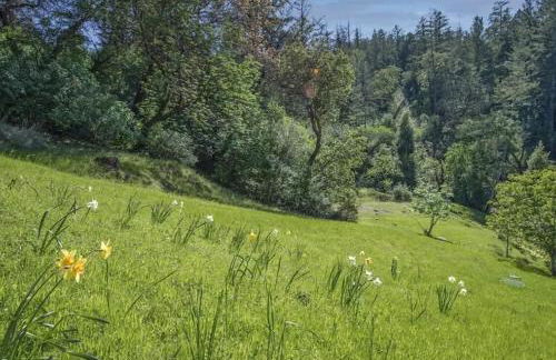 Gorgeous Retreat 5 Acres Paradise - Foto 9