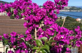 Vou Nun Bou - Foto 10