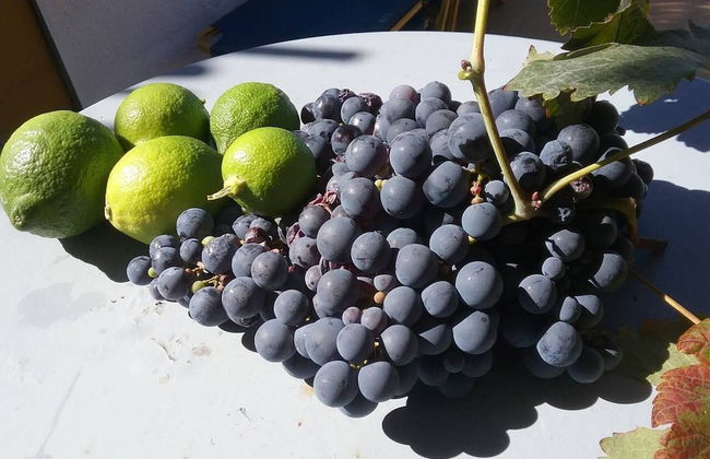 Paradise Found - A Greek Retreat With The View - Foto 30