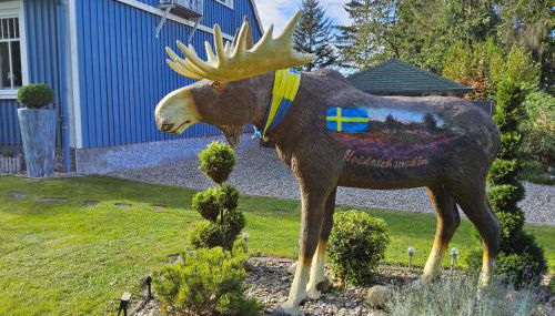 FeWo Schwedenhaus - Foto 4