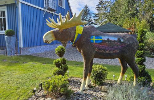 FeWo Schwedenhaus - Foto 4