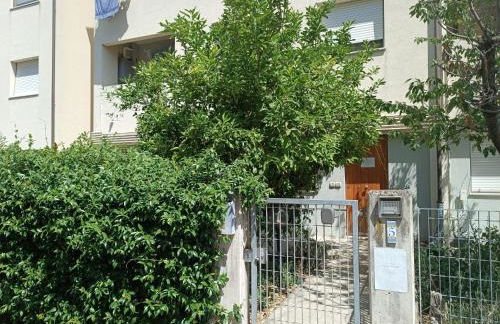 CLEO CAMELIA - Foto 4