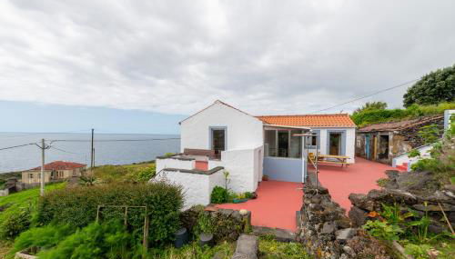 Lobo do Mar - Photo 4