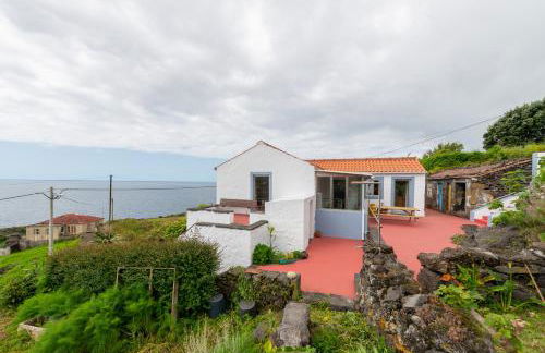 Lobo do Mar - Photo 4