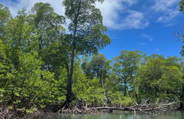 Chales Canto dos Pássaros Boipeba - Foto 61