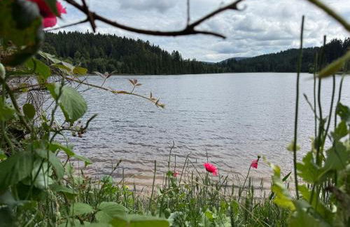 BergOase-Apart am Feldberg - Foto 56