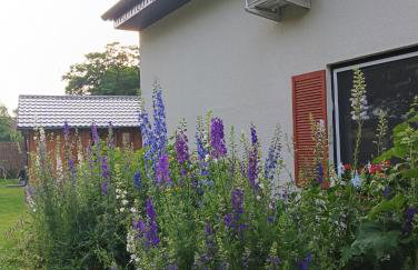 Smocze Ranczo 3 - Foto 6