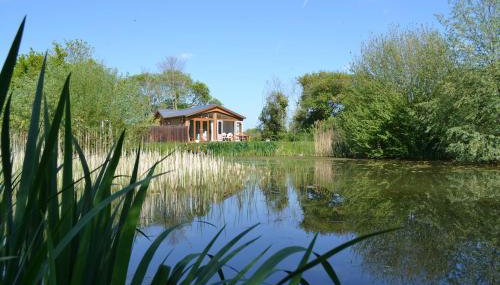 Welhams Meadow Holiday Lodges - Foto 2