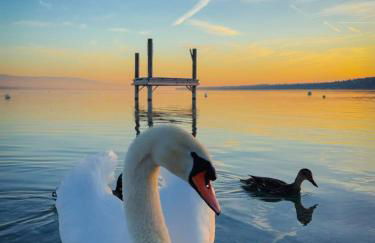 Duplex à 2 pas de l'aéroport, proche ONU & Palexpo - Foto 19