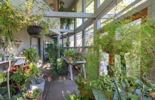 Birders, botanist and hikers’ oasis in FLG - Foto 42