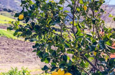 Agriturismo Sa Tanca Noa - Photo 21