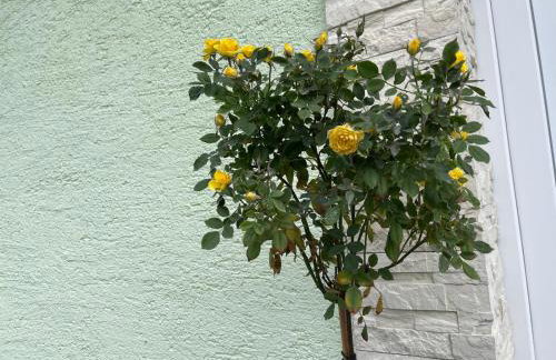 Kuća za odmor MEDENA - Foto 40