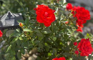 Holiday Oasis with Private Hammam-style Bath, Mini Golf - Foto 29