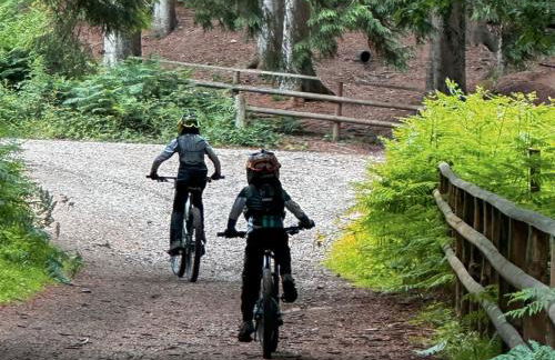 Holly Cottage - Foto 21